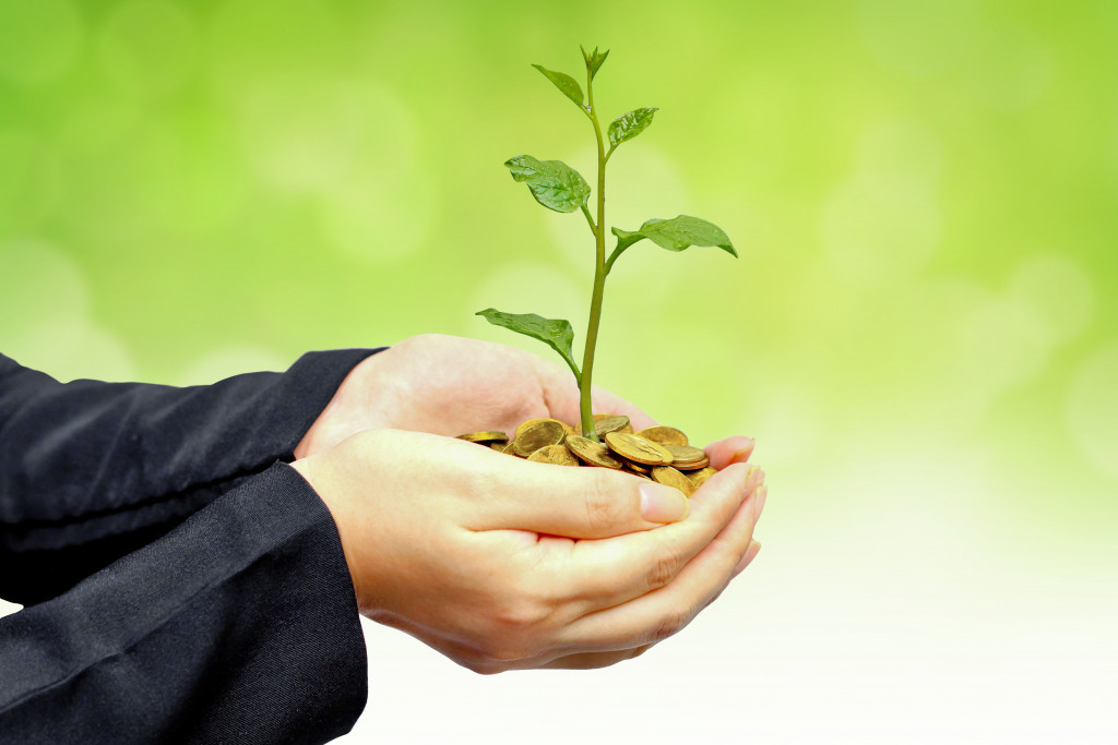 hands holding a tree growing on golden coins with green background - business with csr practice